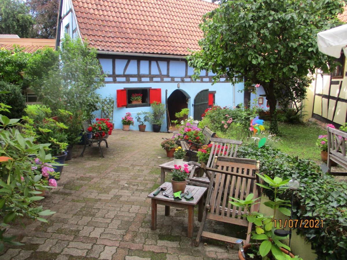 Apartement De Vacances Alsace - Ferienwohnung Elsass - Holiday Apartment Alsace Bischwiller Eksteriør billede