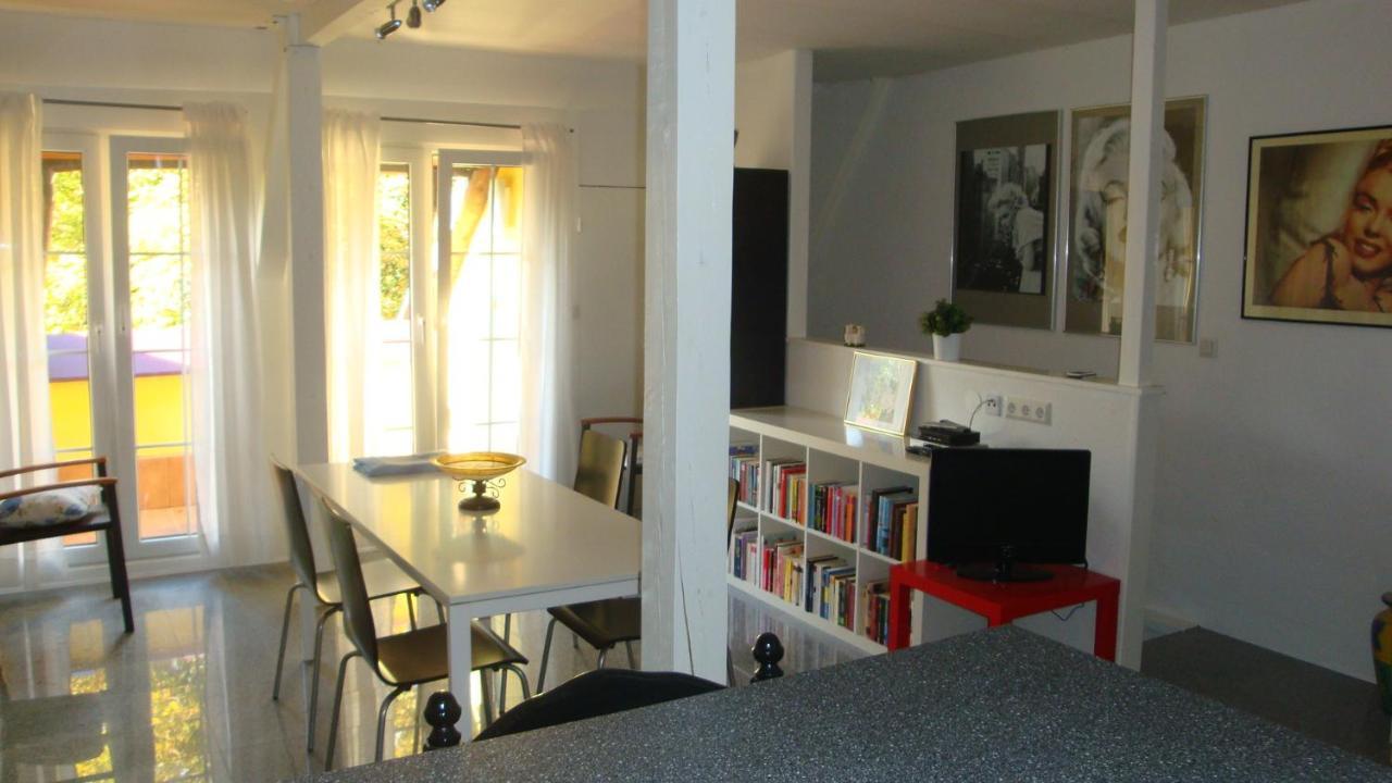 Apartement De Vacances Alsace - Ferienwohnung Elsass - Holiday Apartment Alsace Bischwiller Eksteriør billede